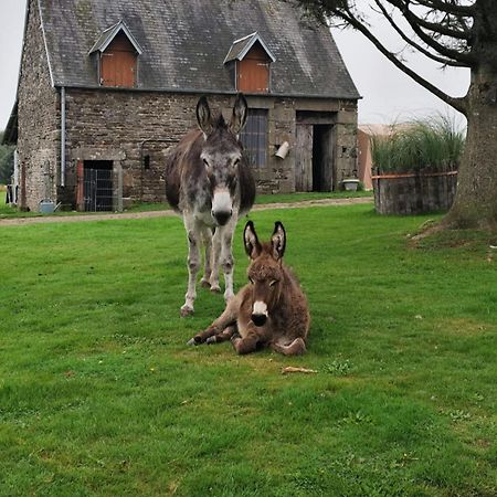 La Billardiere Camping A La Ferme Le Menil-Ciboult Exterior foto