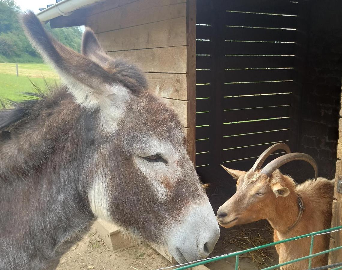 La Billardiere Camping A La Ferme Le Menil-Ciboult Exterior foto