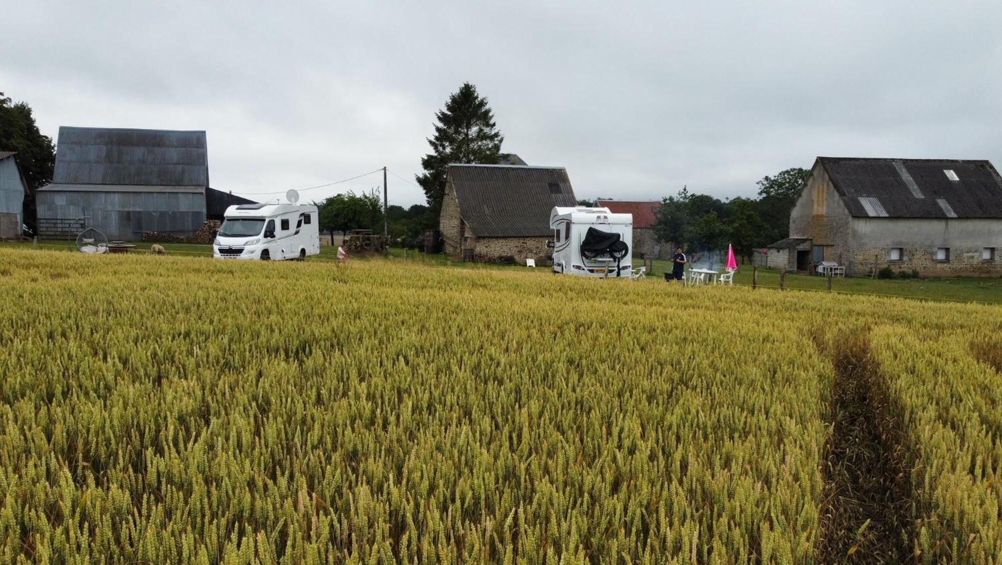 La Billardiere Camping A La Ferme Le Menil-Ciboult Exterior foto