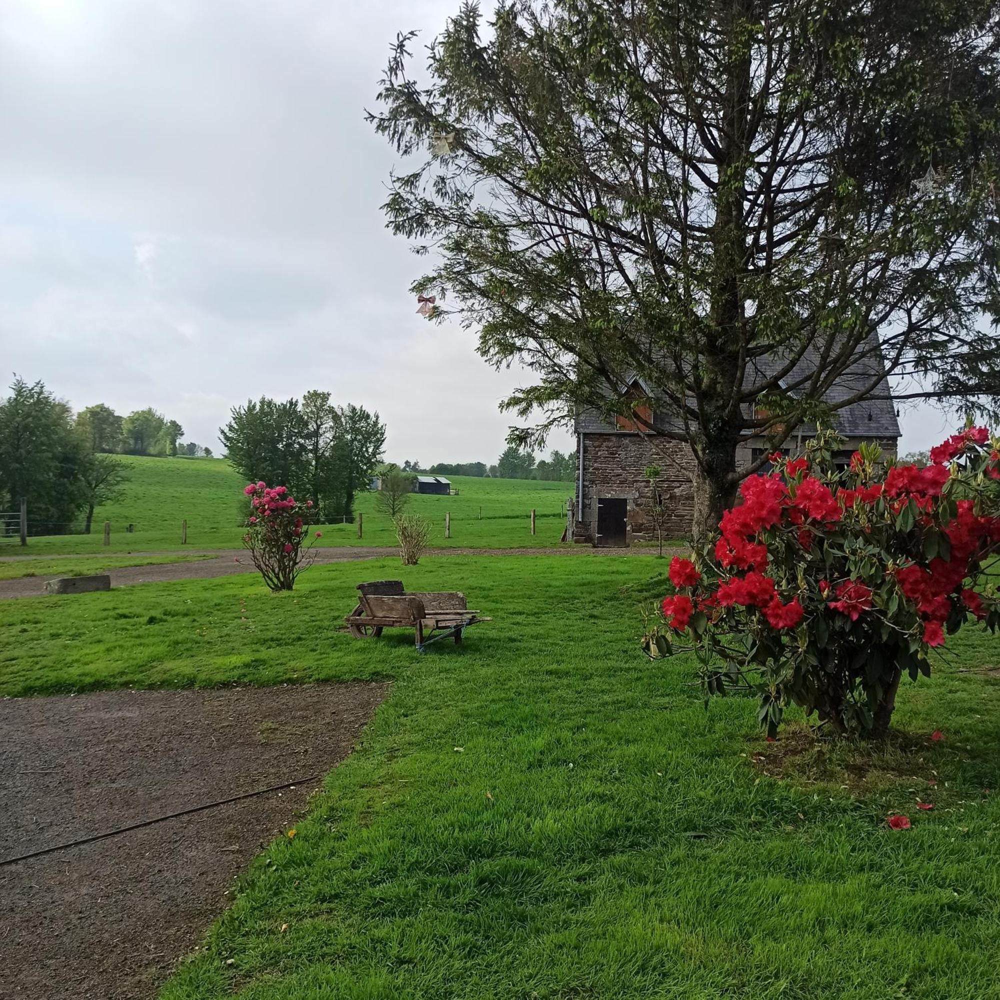 La Billardiere Camping A La Ferme Le Menil-Ciboult Exterior foto