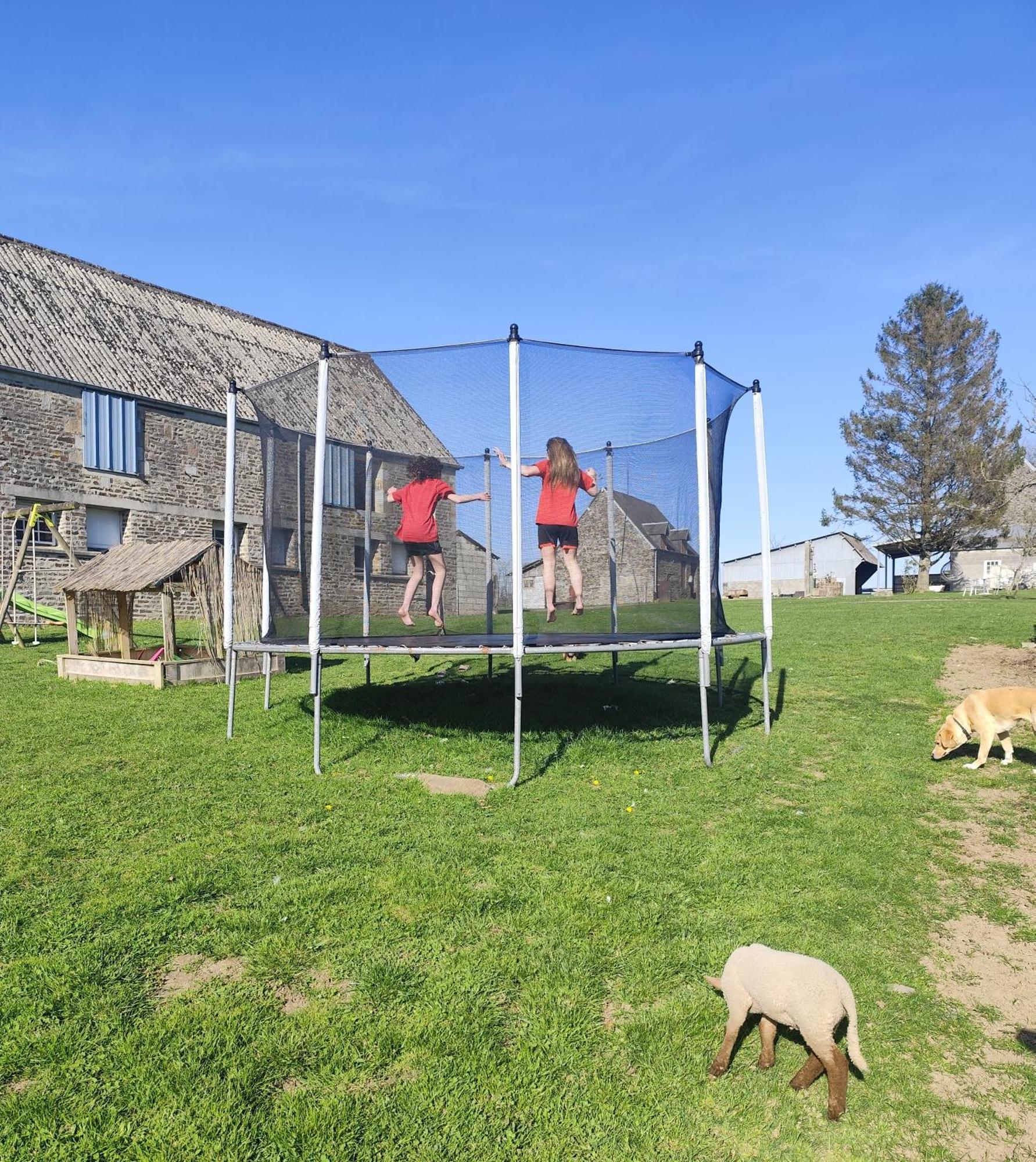 La Billardiere Camping A La Ferme Le Menil-Ciboult Exterior foto